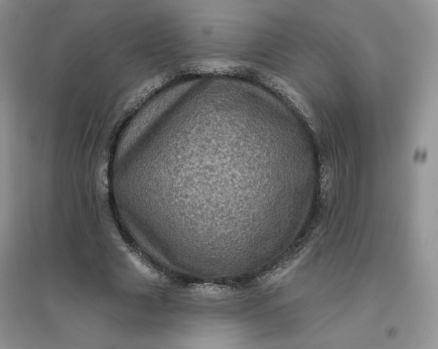 X0000096410633200802071655