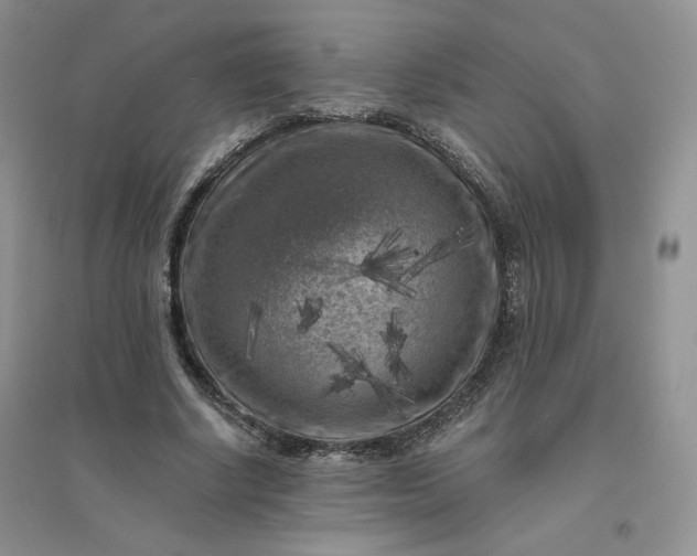 X0000096410634200802071655