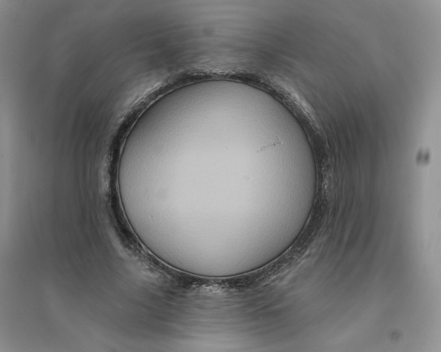 X0000096410635200802071655