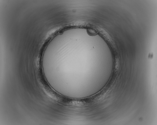 X0000096410636200802071655