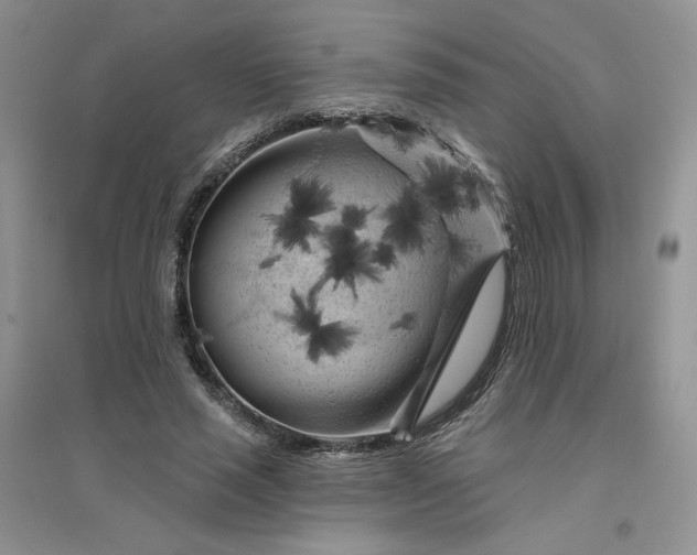X0000096410637200802071655