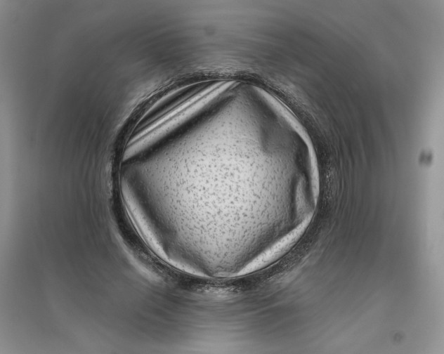 X0000096410638200802071655