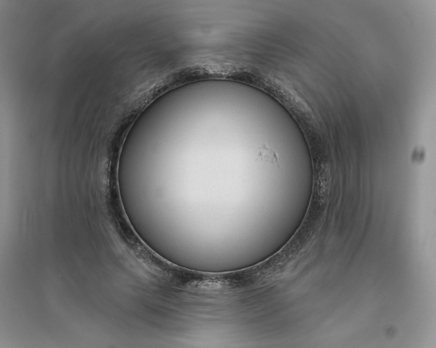 X0000096410639200802071655