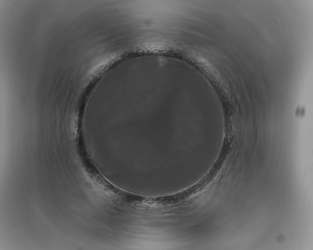 X0000096410640200802071655