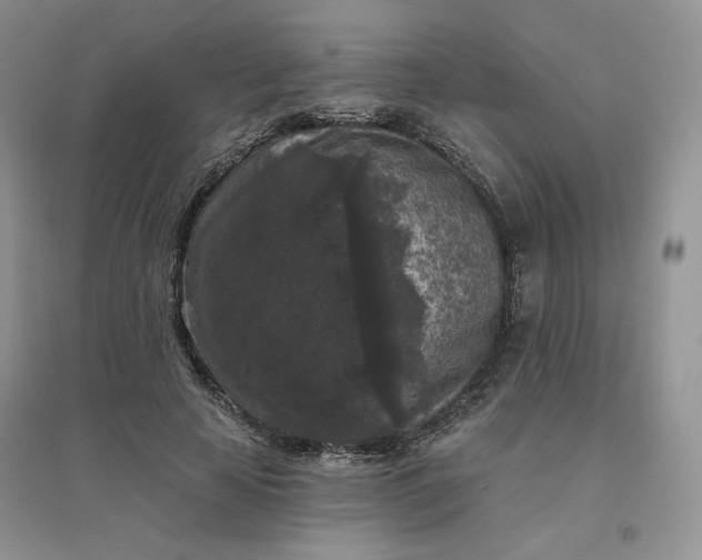 X0000096410641200802071655