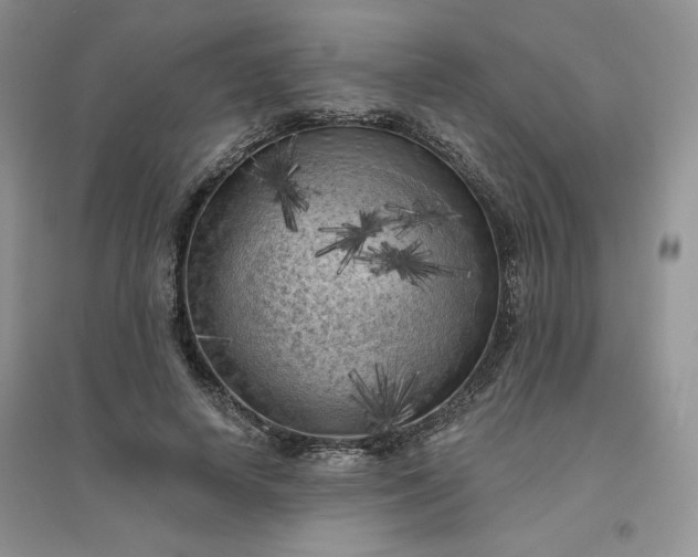 X0000096410642200802071655
