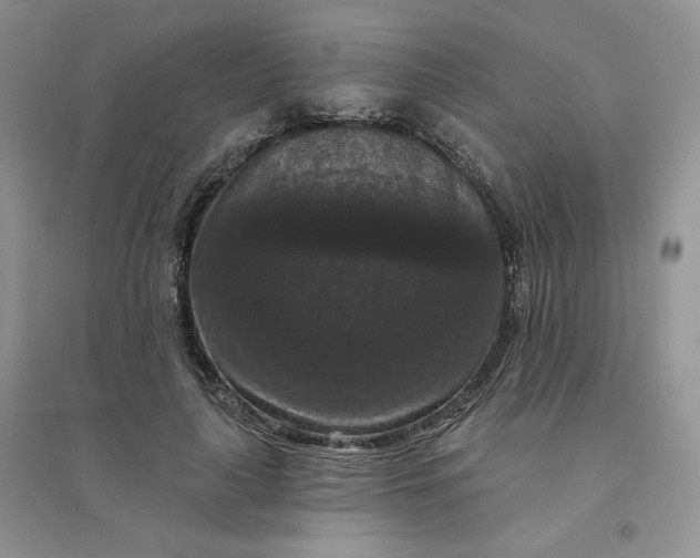 X0000096410643200802071655