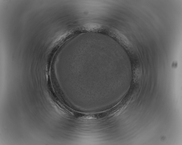 X0000096410644200802071655