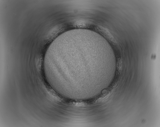 X0000096410645200802071655