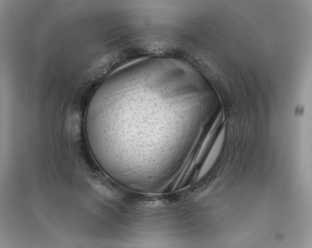 X0000096410646200802071655