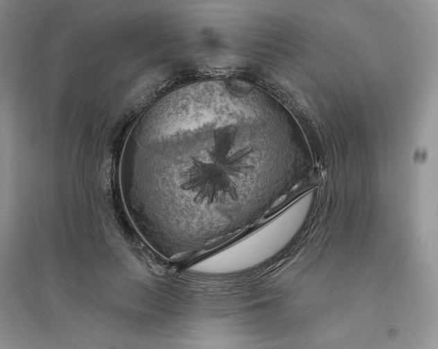 X0000096410647200802071655