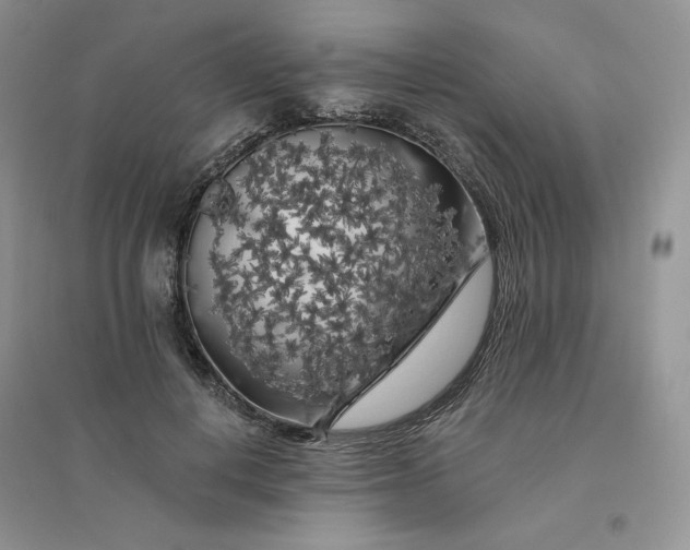 X0000096410648200802071655