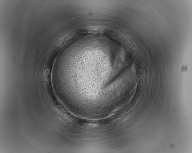 X0000096410649200802071655