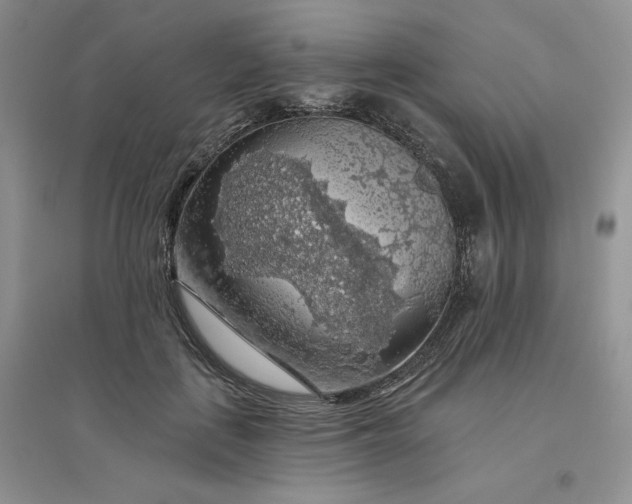 X0000096410651200802071655