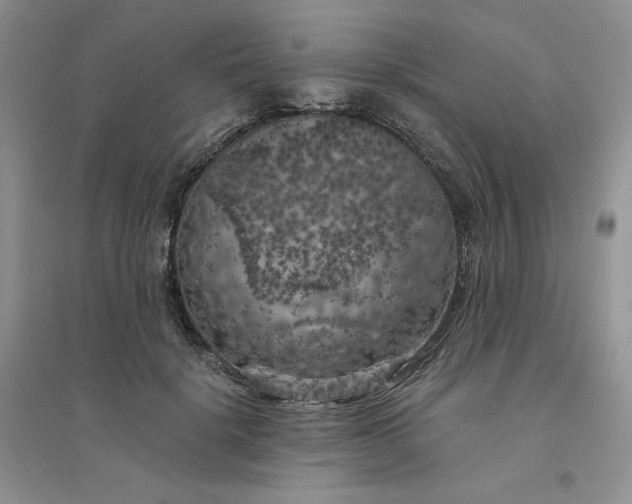 X0000096410652200802071655