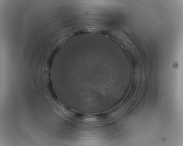 X0000096410653200802071655