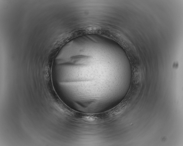 X0000096410654200802071655