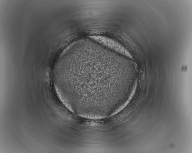 X0000096410655200802071655