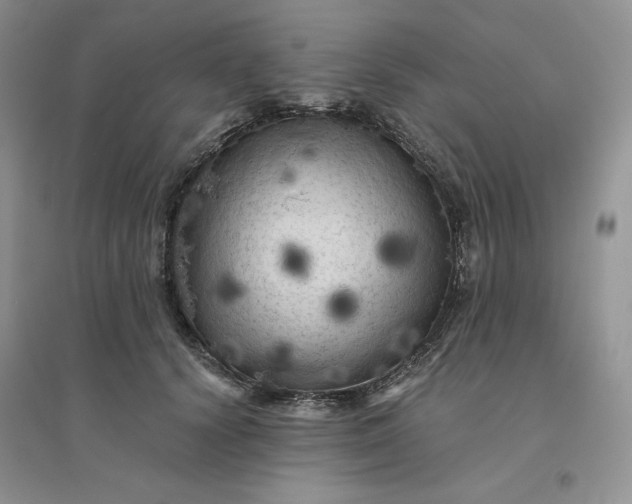 X0000096410656200802071656