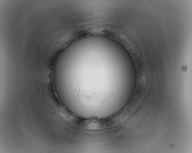 X0000096410658200802071656