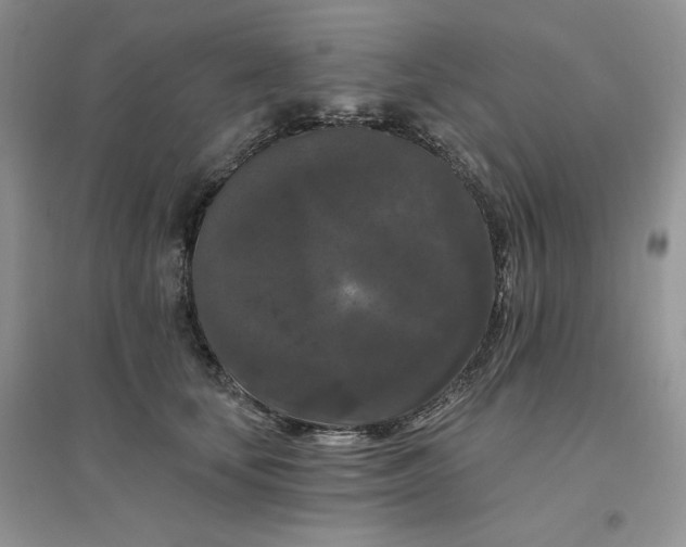 X0000096410659200802071656