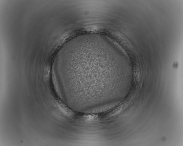 X0000096410660200802071656