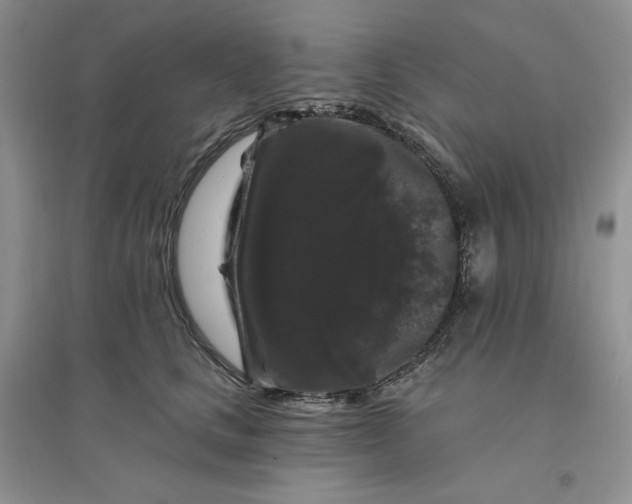 X0000096410661200802071656