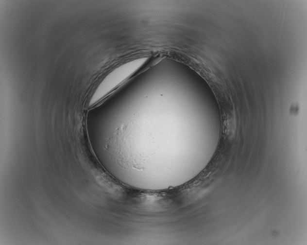 X0000096410662200802071656