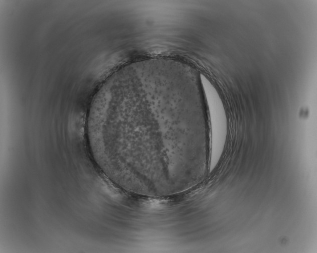 X0000096410664200802071656