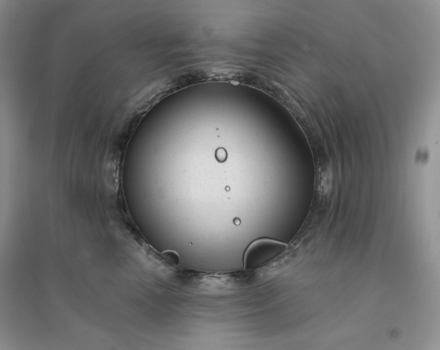 X0000096410666200802071656