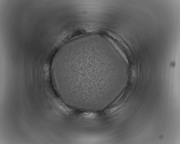 X0000096410667200802071656