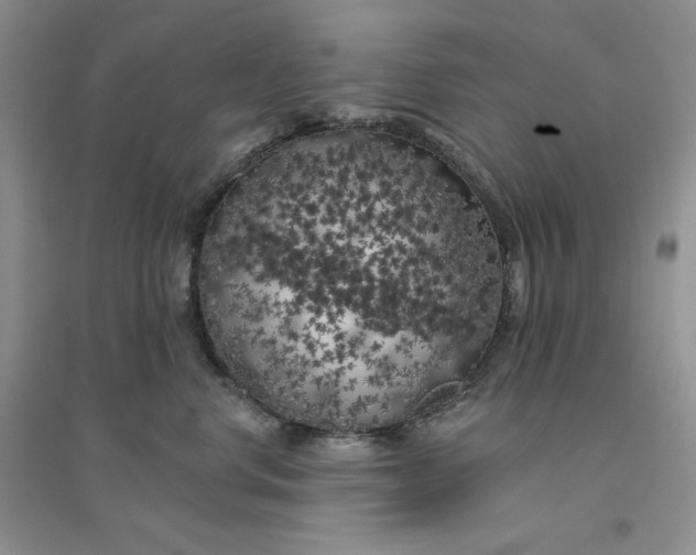 X0000096410668200802071656