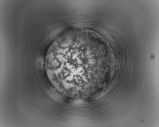 X0000096410669200802071656