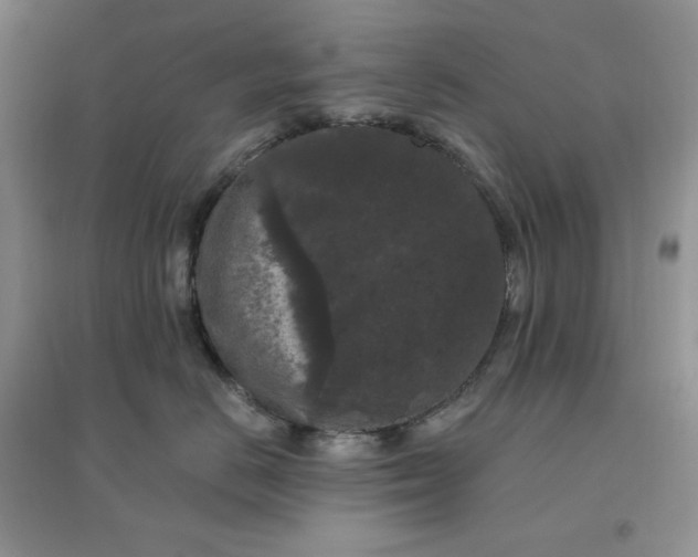 X0000096410670200802071656