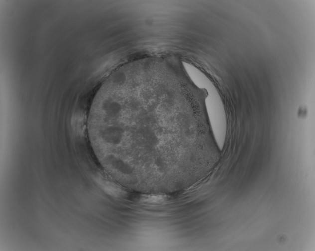 X0000096410671200802071656