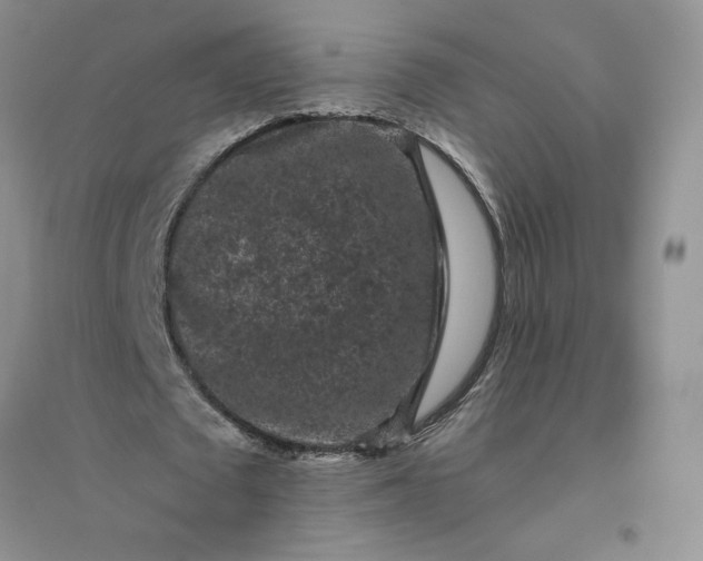X0000096410673200802071655