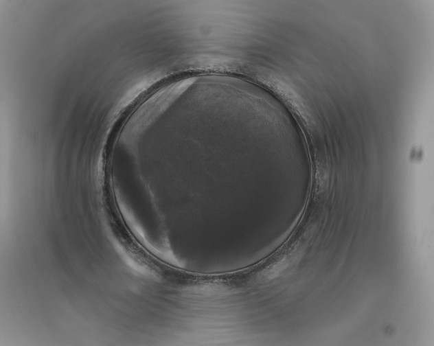 X0000096410674200802071655