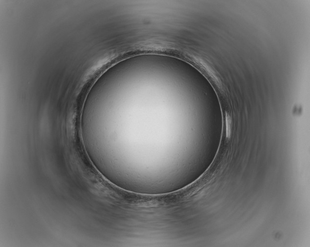X0000096410675200802071655