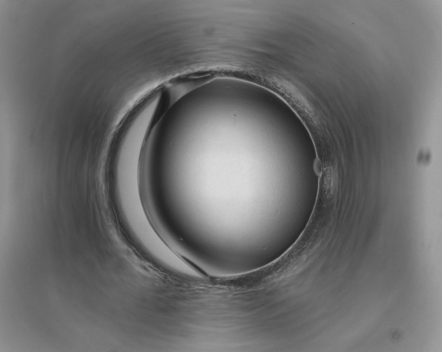 X0000096410676200802071655