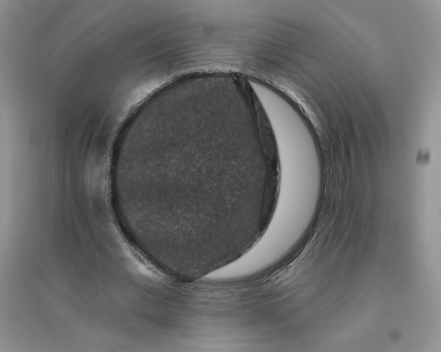 X0000096410677200802071655