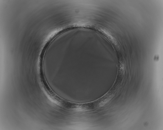 X0000096410678200802071655