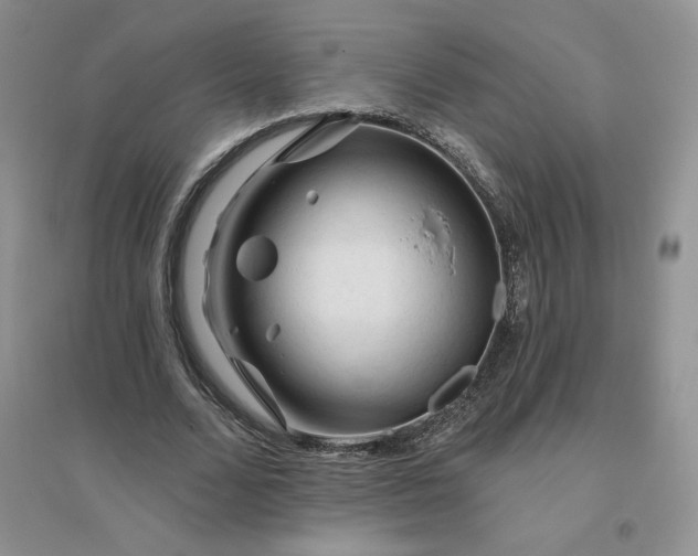 X0000096410680200802071655