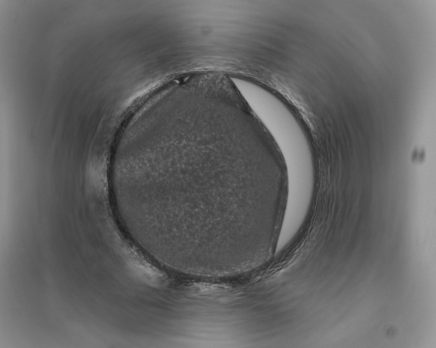 X0000096410681200802071655