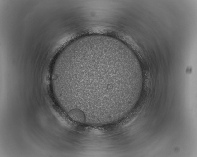 X0000096410683200802071655