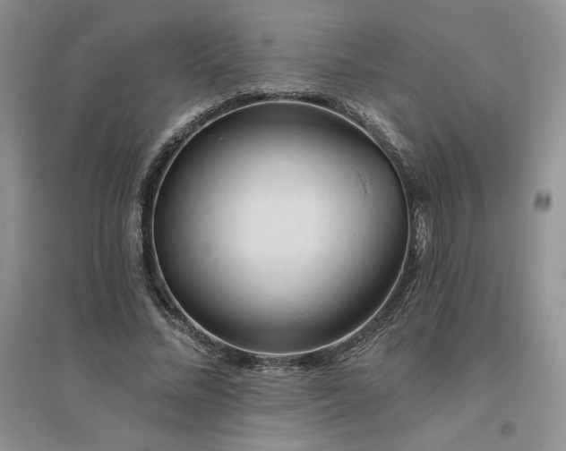 X0000096410684200802071655