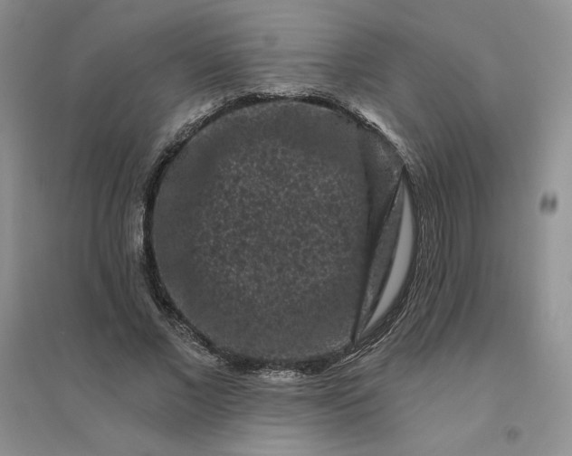 X0000096410685200802071655