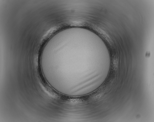 X0000096410686200802071655