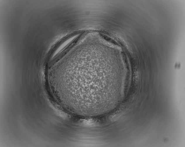 X0000096410688200802071655