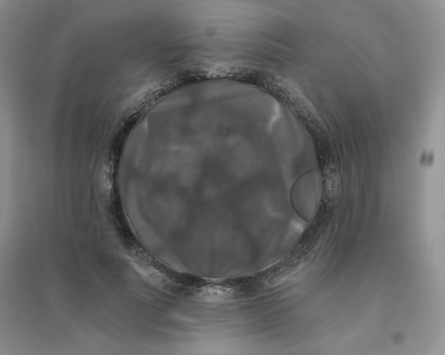 X0000096410691200802071655
