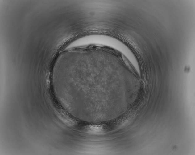 X0000096410692200802071655